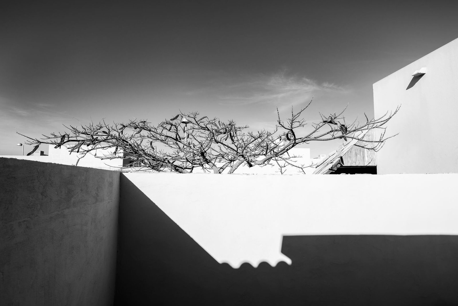 12-Portfolio-openEdition-Fuerteventura-2